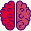 Brain 图标 64x64