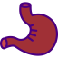 Stomach 图标 64x64