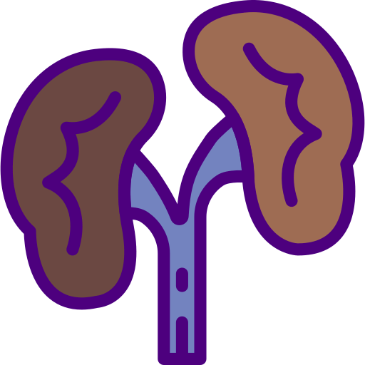Kidneys biểu tượng