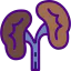 Kidneys Ikona 64x64