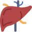 Liver icône 64x64
