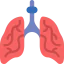 Lungs Symbol 64x64
