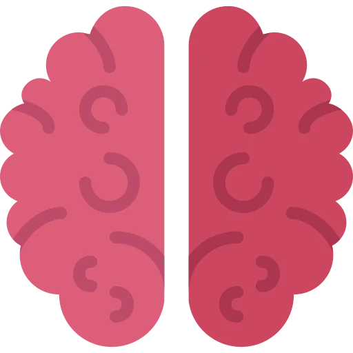 Brain icon