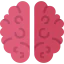 Brain icon 64x64