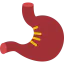 Stomach icon 64x64