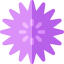 Sea urchin 图标 64x64