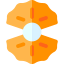 Oyster 图标 64x64