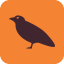 Crow іконка 64x64
