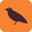 Crow icon 64x64