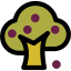 Fruit tree icon 64x64