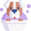 Dog icon 64x64