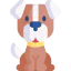 Dog icon 64x64