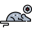 Rat icon 64x64
