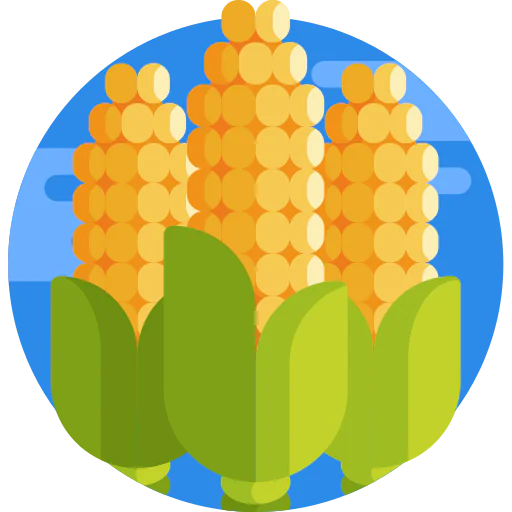 Corn icon
