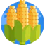 Corn icon 64x64