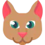 Cat 图标 64x64