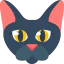 Cat 图标 64x64