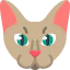 Cat 图标 64x64