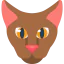 Cat 图标 64x64