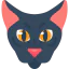 Cat 图标 64x64