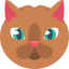 Chubby 图标 64x64