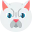 Chubby 图标 64x64