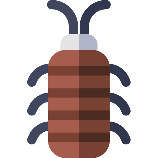 Cockroach icon