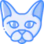 Cat icon 64x64