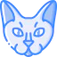 Cat icon 64x64