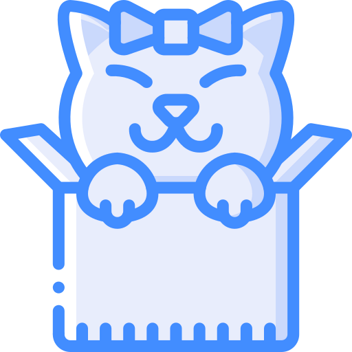 Box icon