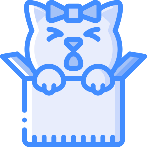 Box icon
