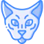 Cat icon 64x64