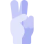Victory Ikona 64x64