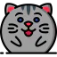 Chubby icon 64x64