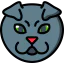 Fold ear icon 64x64