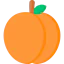 Apricot icon 64x64