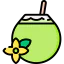 Coconut drink icon 64x64
