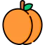Apricot icon 64x64