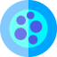 Petri dish icon 64x64