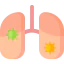 Pneumonia Ikona 64x64