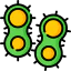 Bacteria icon 64x64