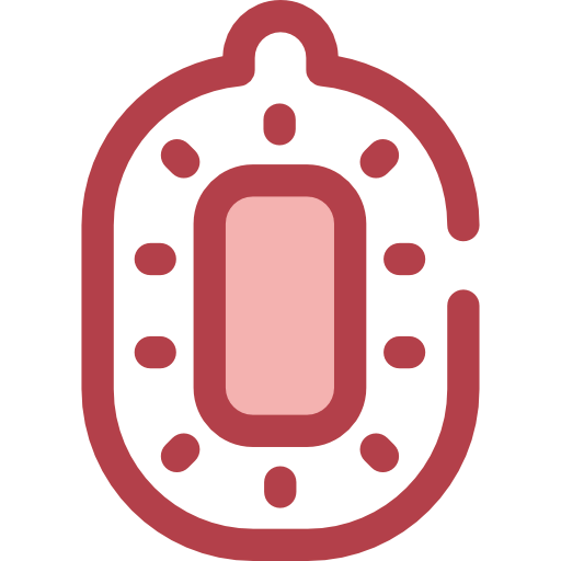 Kiwi icon