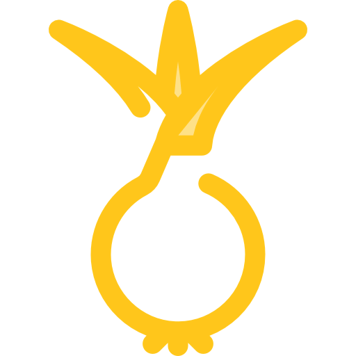 Onion icon
