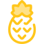 Pineapple icon 64x64
