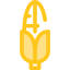 Corncob icon 64x64
