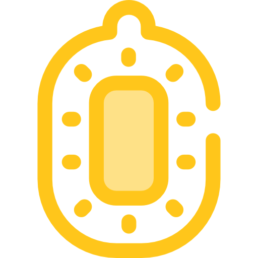 Kiwi icon