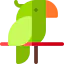 Parrot іконка 64x64