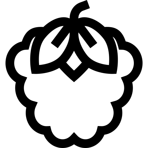 Raspberry ícono