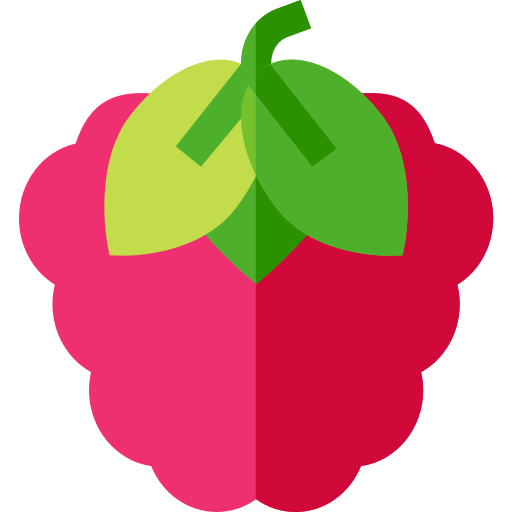 Raspberry 상