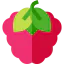 Raspberry ícono 64x64